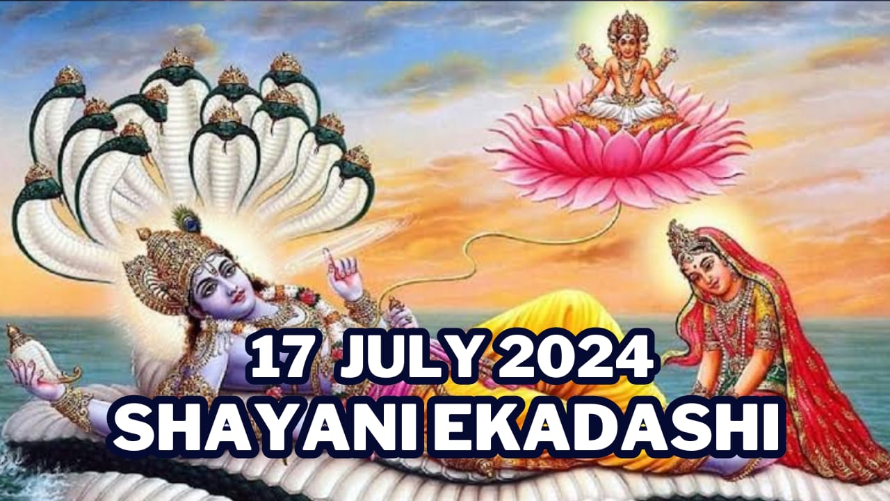 WhatsApp Image 2024-06-25 at 2.24.29 PM